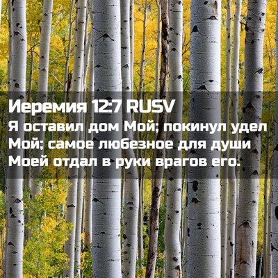 Picture 02 - Иеремия 12:7 RUSV - Я оставил дом Мой; покинул - Bible Verse Picture