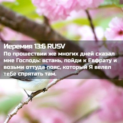 Picture 02 - Иеремия 13:6 RUSV - По прошествии же многих - Bible Verse Picture