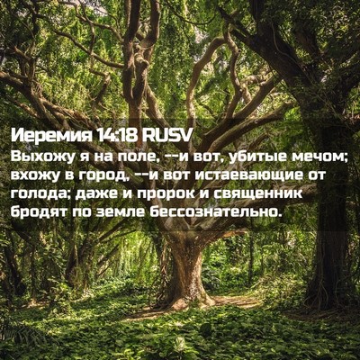 Picture 02 - Иеремия 14:18 RUSV - Выхожу я на поле, --и вот, - Bible Verse Picture