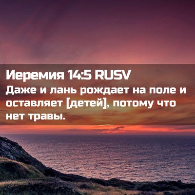 Picture 02 - Иеремия 14:5 RUSV - Даже и лань рождает на поле - Bible Verse Picture