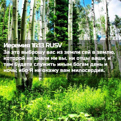 Picture 02 - Иеремия 16:13 RUSV - За это выброшу вас из земли - Bible Verse Picture