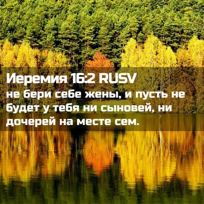 Picture 02 - Иеремия 16:2 RUSV - не бери себе жены, и пусть - Bible Verse Picture