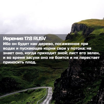 Picture 02 - Иеремия 17:8 RUSV - Ибо он будет как дерево, - Bible Verse Picture