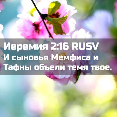 Picture 02 - Иеремия 2:16 RUSV - И сыновья Мемфиса и Тафны - Bible Verse Picture