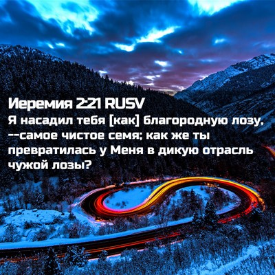 Picture 02 - Иеремия 2:21 RUSV - Я насадил тебя [как] - Bible Verse Picture