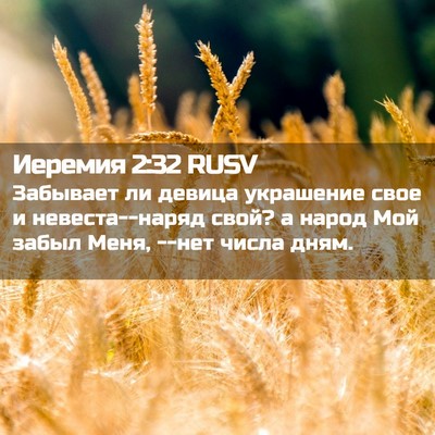 Picture 02 - Иеремия 2:32 RUSV - Забывает ли девица - Bible Verse Picture