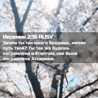 Picture 02 - Иеремия 2:36 RUSV - Зачем ты так много бродишь, - Bible Verse Picture