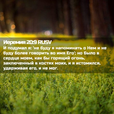 Picture 02 - Иеремия 20:9 RUSV - И подумал я: 'не буду я - Bible Verse Picture