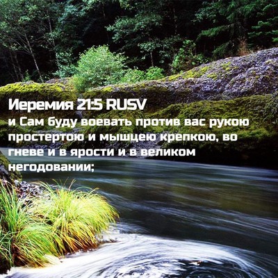 Picture 02 - Иеремия 21:5 RUSV - и Сам буду воевать против - Bible Verse Picture