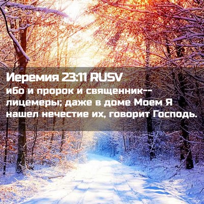 Picture 02 - Иеремия 23:11 RUSV - ибо и пророк и - Bible Verse Picture