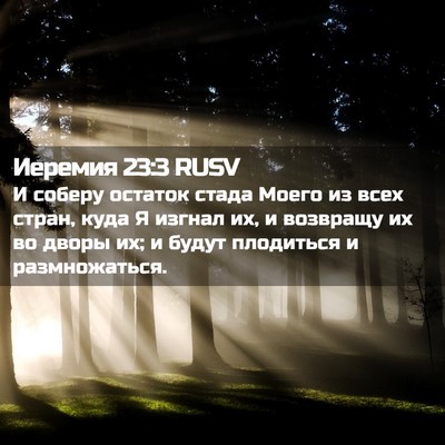 Picture 02 - Иеремия 23:3 RUSV - И соберу остаток стада - Bible Verse Picture