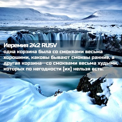 Picture 02 - Иеремия 24:2 RUSV - одна корзина была со - Bible Verse Picture