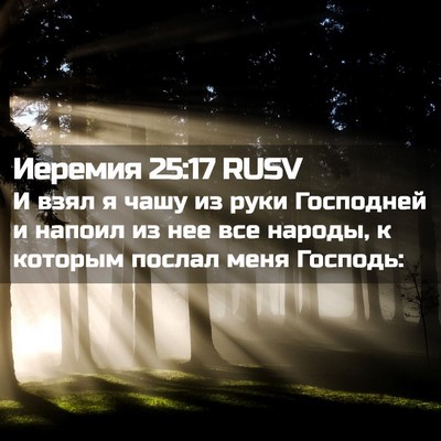 Picture 02 - Иеремия 25:17 RUSV - И взял я чашу из руки - Bible Verse Picture