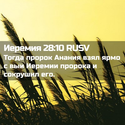 Picture 02 - Иеремия 28:10 RUSV - Тогда пророк Анания взял - Bible Verse Picture