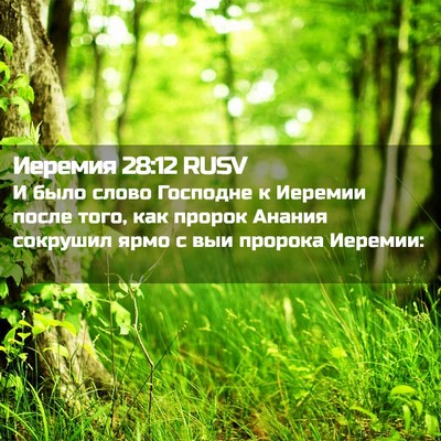Picture 02 - Иеремия 28:12 RUSV - И было слово Господне к - Bible Verse Picture