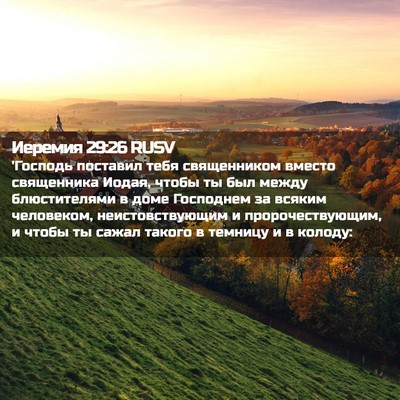 Picture 02 - Иеремия 29:26 RUSV - 'Господь поставил тебя - Bible Verse Picture