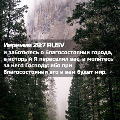 Picture 02 - Иеремия 29:7 RUSV - и заботьтесь о - Bible Verse Picture