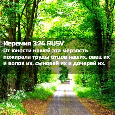 Picture 02 - Иеремия 3:24 RUSV - От юности нашей эта - Bible Verse Picture