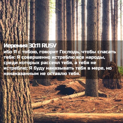 Picture 02 - Иеремия 30:11 RUSV - ибо Я с тобою, говорит - Bible Verse Picture