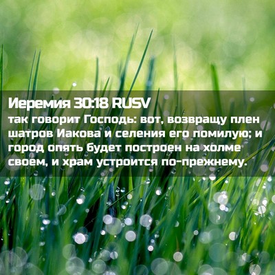 Picture 02 - Иеремия 30:18 RUSV - так говорит Господь: вот, - Bible Verse Picture