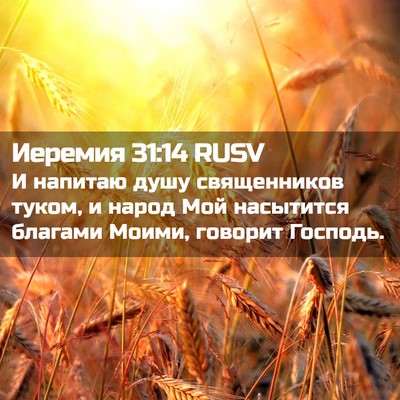 Picture 02 - Иеремия 31:14 RUSV - И напитаю душу священников - Bible Verse Picture