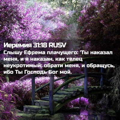 Picture 02 - Иеремия 31:18 RUSV - Слышу Ефрема плачущего: 'Ты - Bible Verse Picture