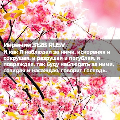 Picture 02 - Иеремия 31:28 RUSV - И как Я наблюдал за ними, - Bible Verse Picture