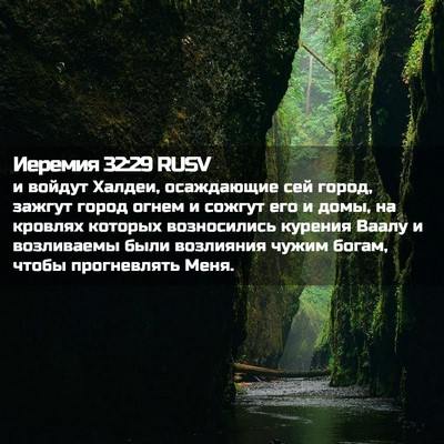 Picture 02 - Иеремия 32:29 RUSV - и войдут Халдеи, - Bible Verse Picture