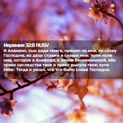Picture 02 - Иеремия 32:8 RUSV - И Анамеил, сын дяди моего, - Bible Verse Picture