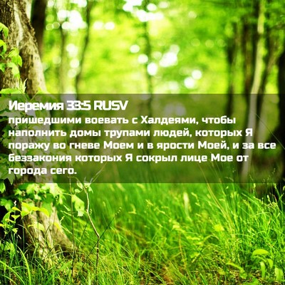 Picture 02 - Иеремия 33:5 RUSV - пришедшими воевать с - Bible Verse Picture