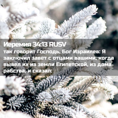 Picture 02 - Иеремия 34:13 RUSV - так говорит Господь, Бог - Bible Verse Picture