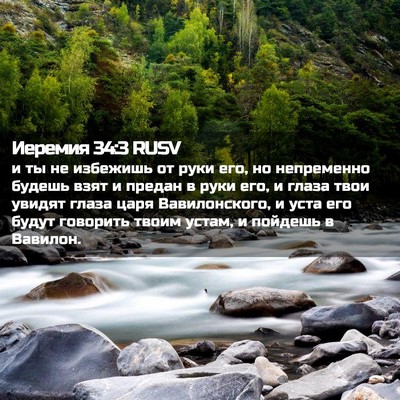 Picture 02 - Иеремия 34:3 RUSV - и ты не избежишь от руки - Bible Verse Picture