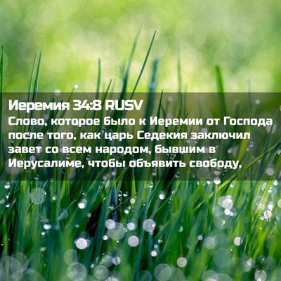 Picture 02 - Иеремия 34:8 RUSV - Слово, которое было к - Bible Verse Picture