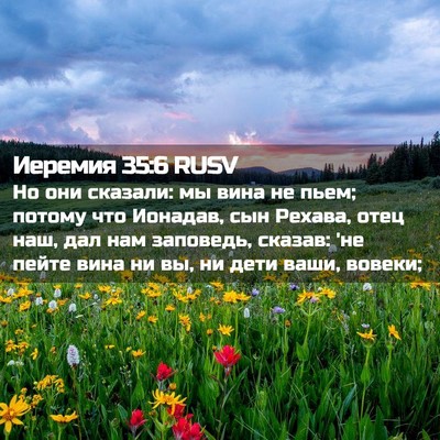 Picture 02 - Иеремия 35:6 RUSV - Но они сказали: мы вина не - Bible Verse Picture