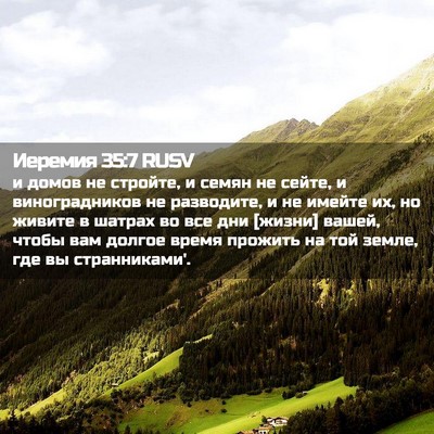 Picture 02 - Иеремия 35:7 RUSV - и домов не стройте, и семян - Bible Verse Picture