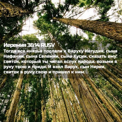 Picture 02 - Иеремия 36:14 RUSV - Тогда все князья послали к - Bible Verse Picture