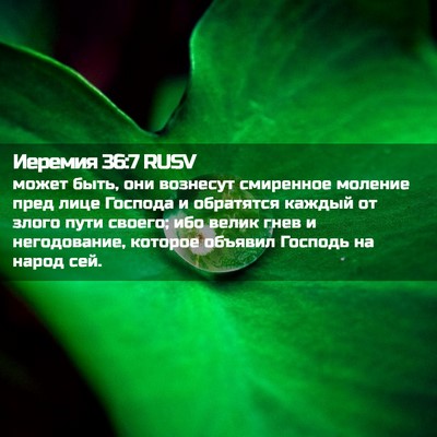 Picture 02 - Иеремия 36:7 RUSV - может быть, они вознесут - Bible Verse Picture