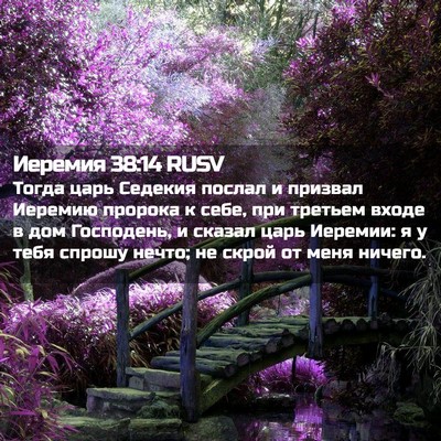 Picture 02 - Иеремия 38:14 RUSV - Тогда царь Седекия послал - Bible Verse Picture