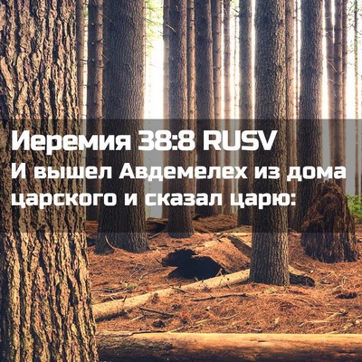 Picture 02 - Иеремия 38:8 RUSV - И вышел Авдемелех из дома - Bible Verse Picture