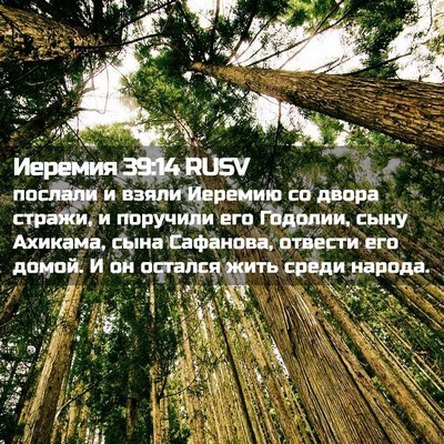 Picture 02 - Иеремия 39:14 RUSV - послали и взяли Иеремию со - Bible Verse Picture