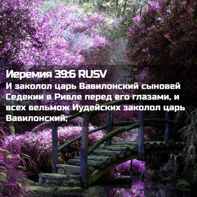 Picture 02 - Иеремия 39:6 RUSV - И заколол царь Вавилонский - Bible Verse Picture