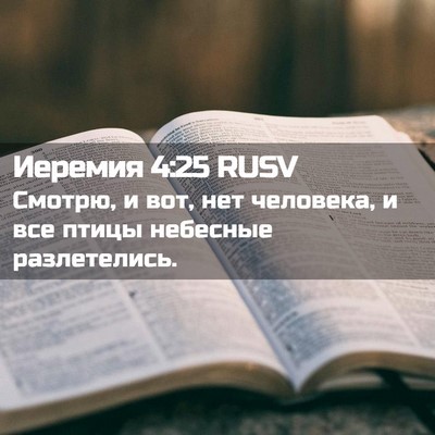 Picture 02 - Иеремия 4:25 RUSV - Смотрю, и вот, нет человека, - Bible Verse Picture