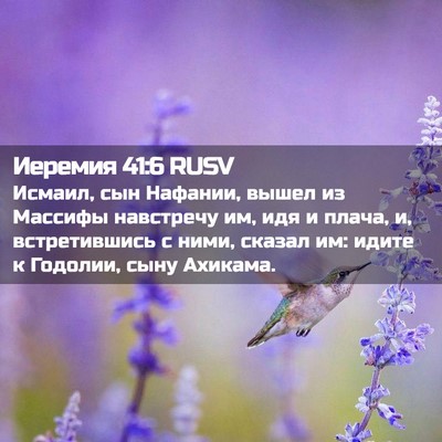 Picture 02 - Иеремия 41:6 RUSV - Исмаил, сын Нафании, вышел - Bible Verse Picture