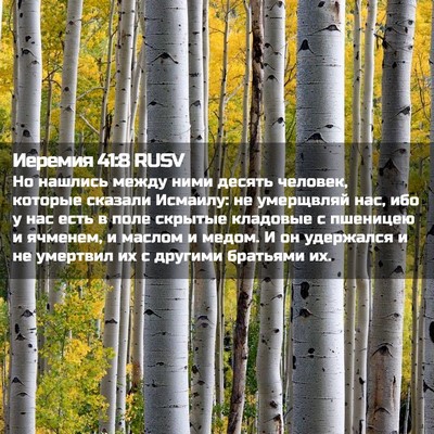 Picture 02 - Иеремия 41:8 RUSV - Но нашлись между ними - Bible Verse Picture