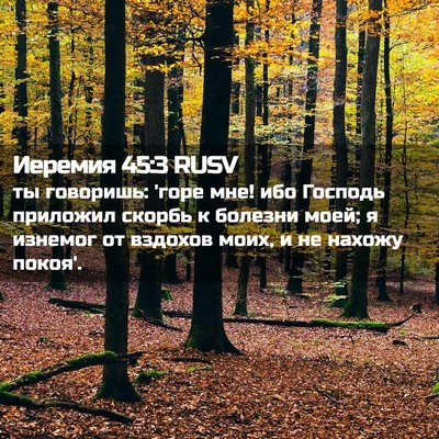Picture 02 - Иеремия 45:3 RUSV - ты говоришь: 'горе мне! ибо - Bible Verse Picture