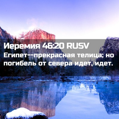 Picture 02 - Иеремия 46:20 RUSV - Египет--прекрасная телица; - Bible Verse Picture