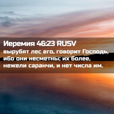Picture 02 - Иеремия 46:23 RUSV - вырубят лес его, говорит - Bible Verse Picture
