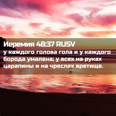 Picture 02 - Иеремия 48:37 RUSV - у каждого голова гола и у - Bible Verse Picture