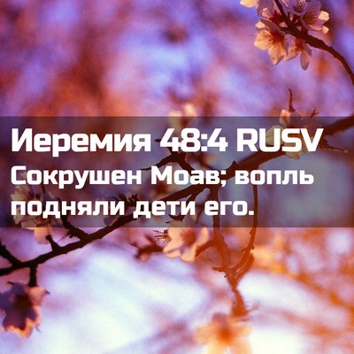 Picture 02 - Иеремия 48:4 RUSV - Сокрушен Моав; вопль - Bible Verse Picture