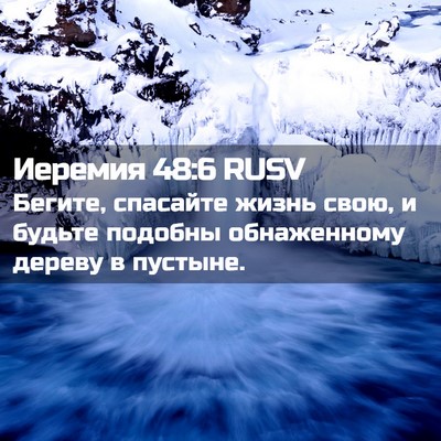 Picture 02 - Иеремия 48:6 RUSV - Бегите, спасайте жизнь - Bible Verse Picture